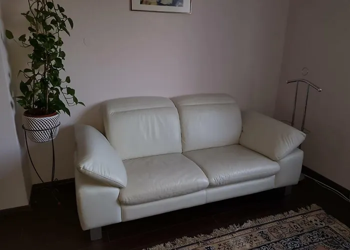 Homely - Agency