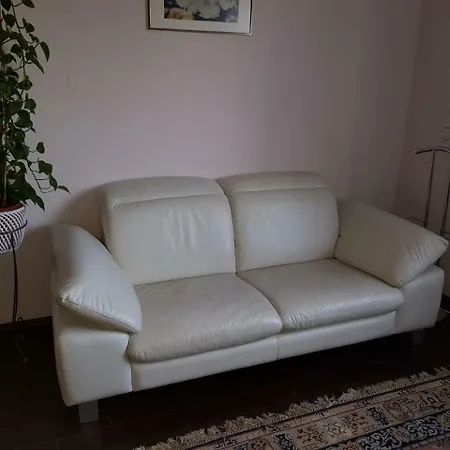 Homely - Agency